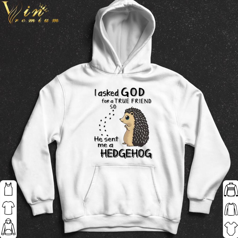 8a8932a7 i asked god for a true friend so he sent me a hedgehog shirt 4 - I Asked God For A True Friend So He Sent Me A Hedgehog shirt