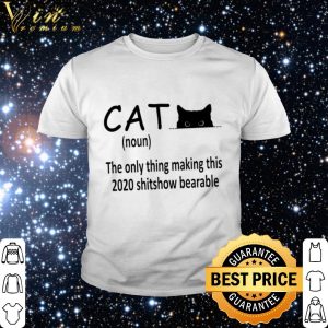 Official Cat noun the only thing making this 2020 shitshow bearable shirt