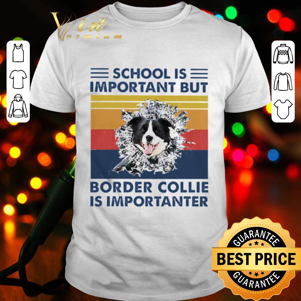 Original School Is Important But Border Collie Is Importanter Vintage shirt
