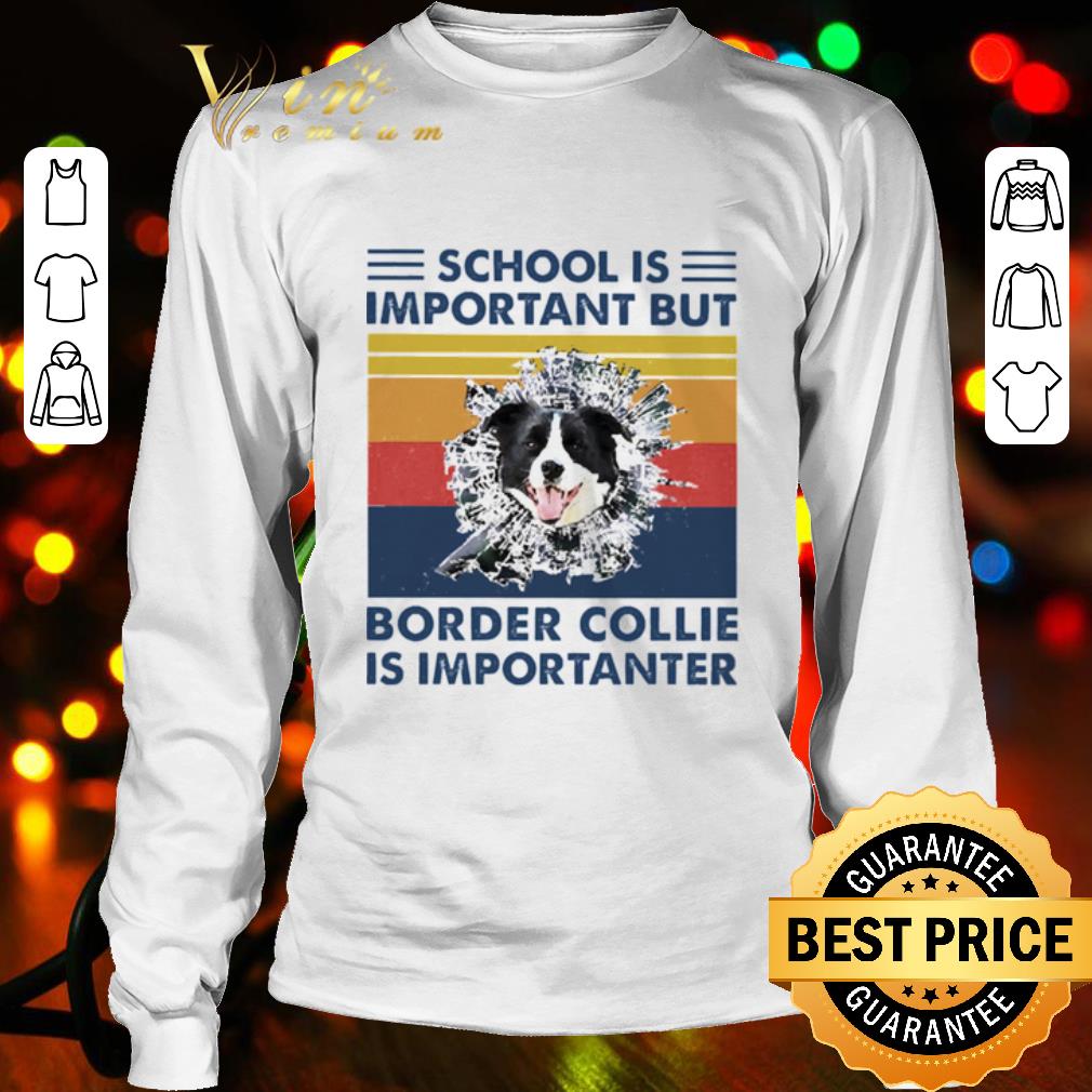 Original School Is Important But Border Collie Is Importanter Vintage shirt
