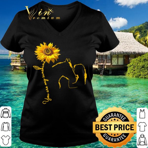 Top Horse You Are My Sunshine Bailey Laurra shirt