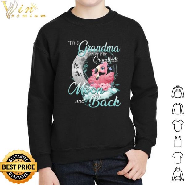 Original This Grandma loves her Grandkids to the Moon and Back shirt