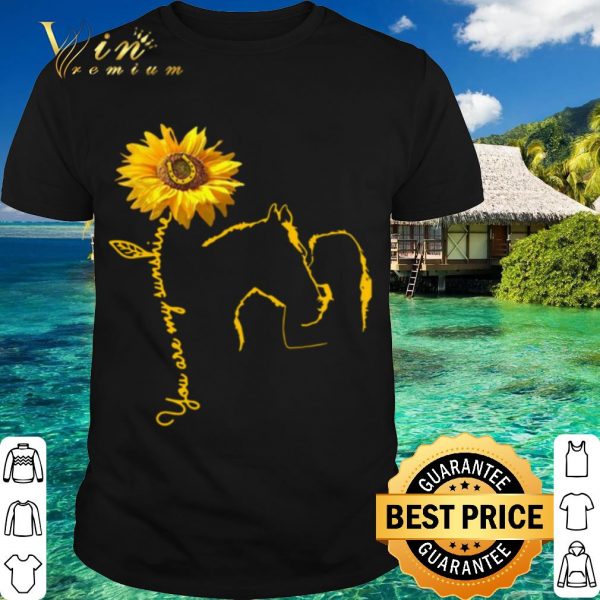 Top Horse You Are My Sunshine Bailey Laurra shirt