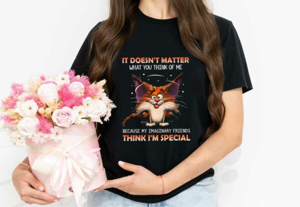 Cat It Doesn't Matter What You Think Of Me Because My Imaginary Friends Think I'm Special Shirt, It Doesn't Matter Shirt