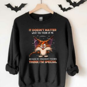 Cat It Doesn't Matter What You Think Of Me Because My Imaginary Friends Think I'm Special Shirt, It Doesn't Matter Shirt 3