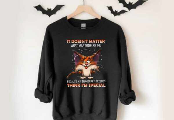 Cat It Doesn't Matter What You Think Of Me Because My Imaginary Friends Think I'm Special Shirt, It Doesn't Matter Shirt