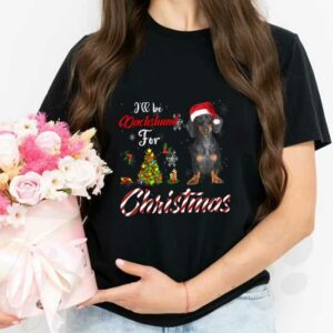 Dachshund For Christmas Shirt, I'll Be Dachshund For Christmas Shirt, Dachshund Christmas Shir 2
