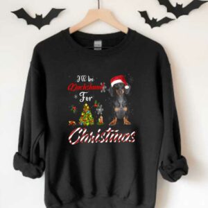 Dachshund For Christmas Shirt, I'll Be Dachshund For Christmas Shirt, Dachshund Christmas Shir 3