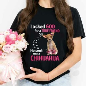 He Sent Me A Chihuahua Shirt, Dog I Asked God For A True Friend So He Sent Me A Chihuahua Shirt 2