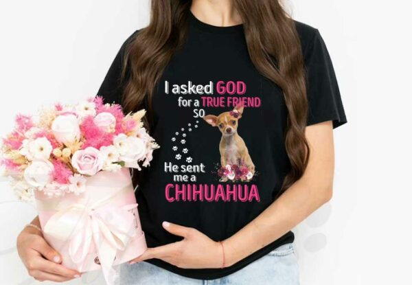 He Sent Me A Chihuahua Shirt, Dog I Asked God For A True Friend So He Sent Me A Chihuahua Shirt