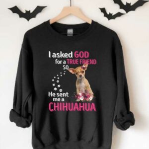 He Sent Me A Chihuahua Shirt, Dog I Asked God For A True Friend So He Sent Me A Chihuahua Shirt 3