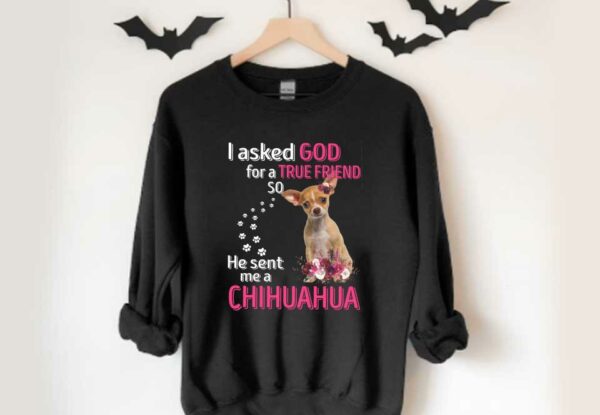 He Sent Me A Chihuahua Shirt, Dog I Asked God For A True Friend So He Sent Me A Chihuahua Shirt