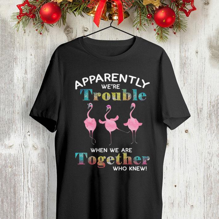 Flamingos apparently we re trouble when we are together who knew shirt 4 - Flamingos apparently we're trouble when we are together who knew shirt