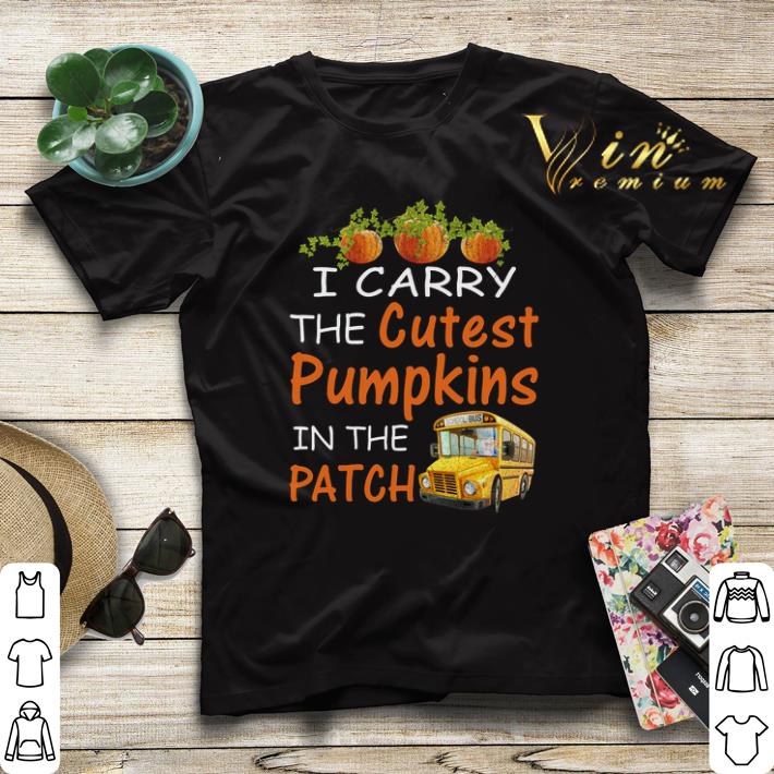 I carry the cutest pumpkins in the patch shirt sweater 4 - I carry the cutest pumpkins in the patch shirt sweater