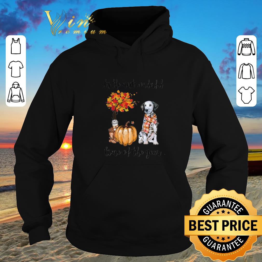 Top Dalmatian & Pumpkin it's the most wonderful time of the year shirt sweater Top Dalmatian Pumpkin it s the most wonderful time of the year shirt sweater 4 - Top Dalmatian & Pumpkin it's the most wonderful time of the year shirt sweater