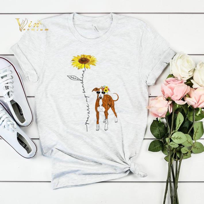 Italian Greyhound You Are My Sunshine Sunflower shirt sweater Italian Greyhound You Are My Sunshine Sunflower shirt sweater 4 - Italian Greyhound You Are My Sunshine Sunflower shirt sweater