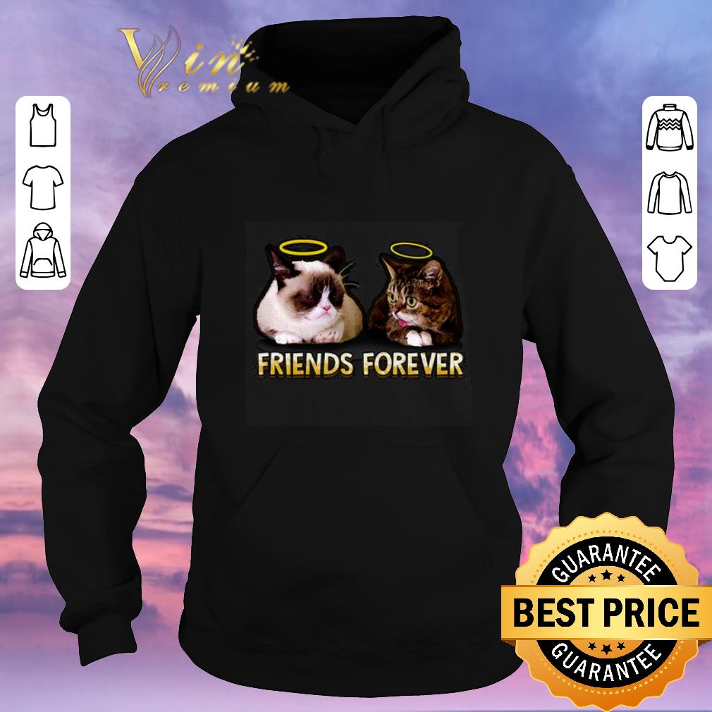 Original Grumpy and Lil Bub friends forever shirt sweater Original Grumpy and Lil Bub friends forever shirt sweater 4 - Original Grumpy and Lil Bub friends forever shirt sweater