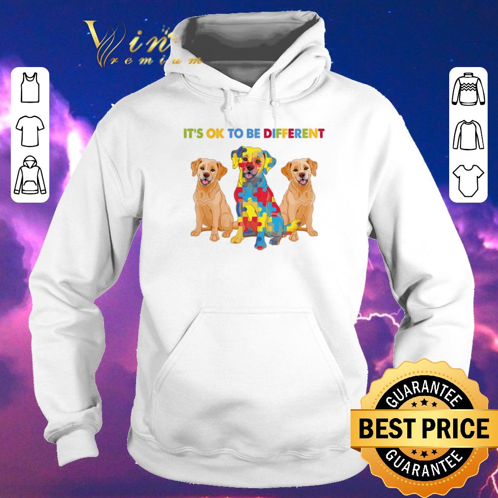 Awesome Golden Retriever It s ok to be different Autism Awareness shirt sweater 4 - Awesome Golden Retriever It's ok to be different Autism Awareness shirt sweater