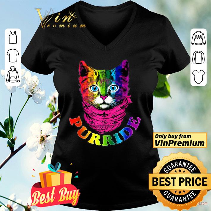 Purride Cat – Pride Cat Gay Pride Tank Top shirt