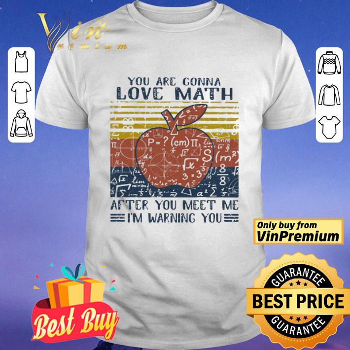 You Are Conna Love Math After You Meet Me I’m Warning You Apple Vintage Retro shirt