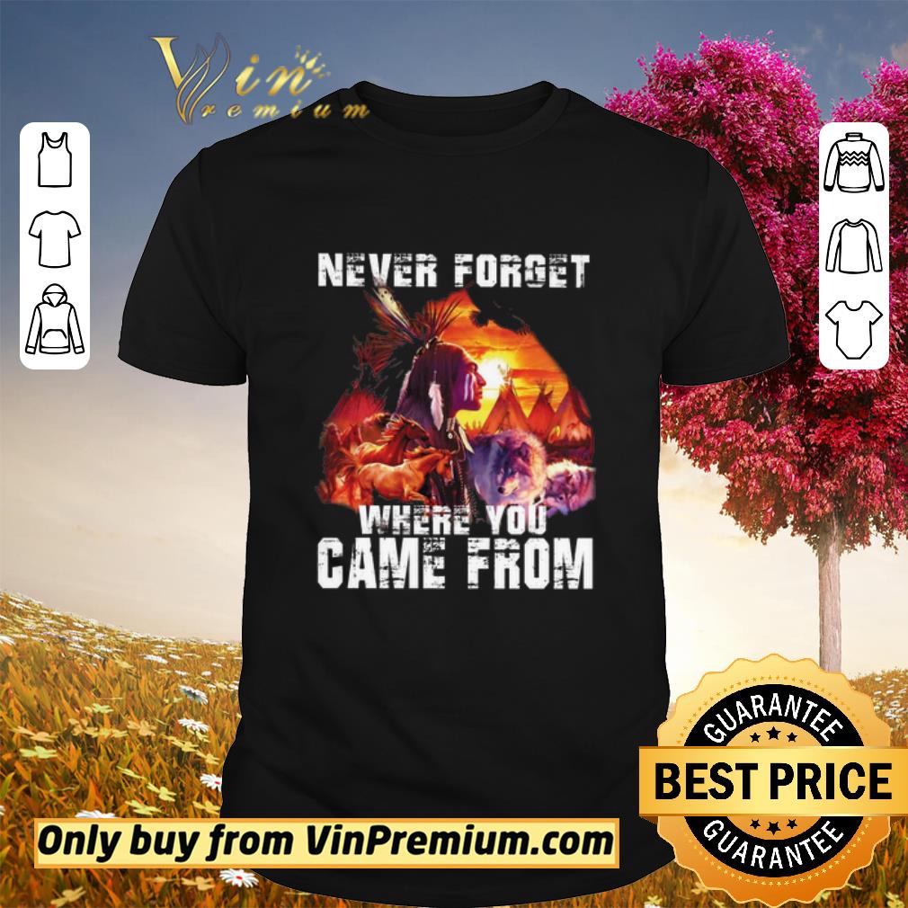 Awesome Native American Never Forget Where You Came From shirt