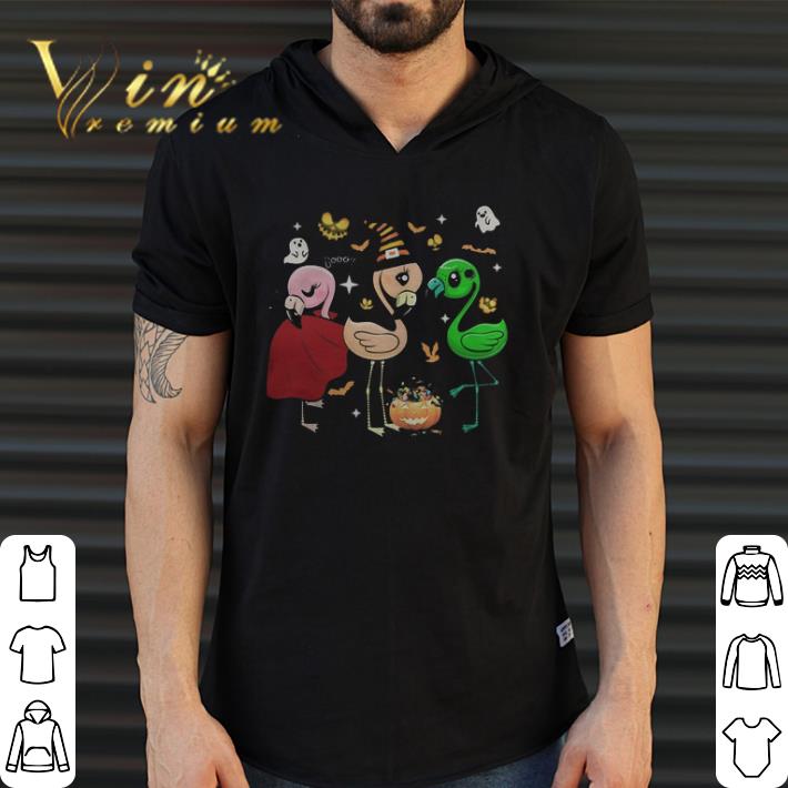 Hot Flamingo Witch Halloween shirt