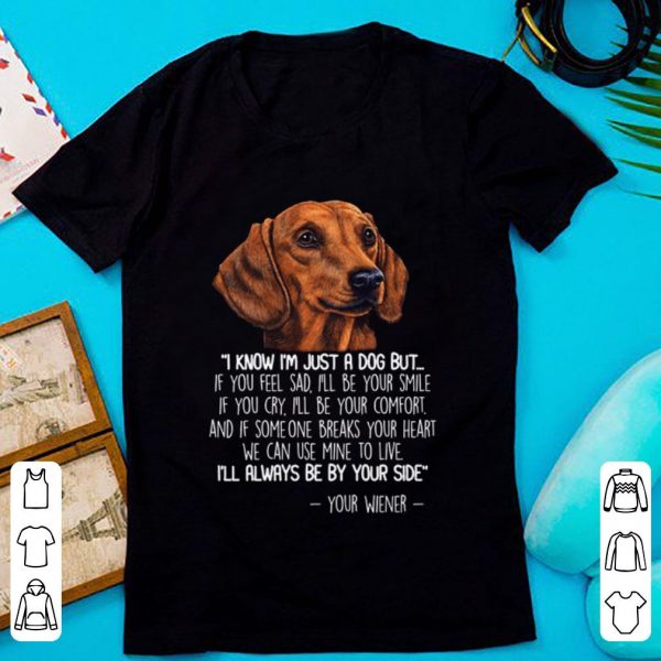 Nice I’m Know I’m Just A Dog But If You Feel Sad I’ll Be Your Smile Your Wiener shirt