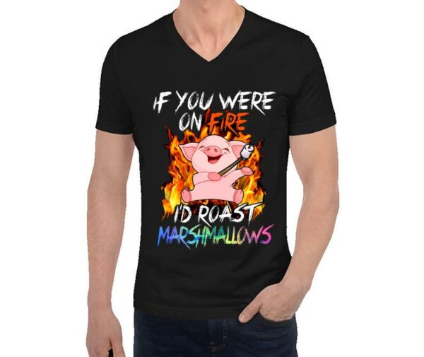If You Were On Fire I'd Roast Marshmallows Shirt, Unisex Shirt
