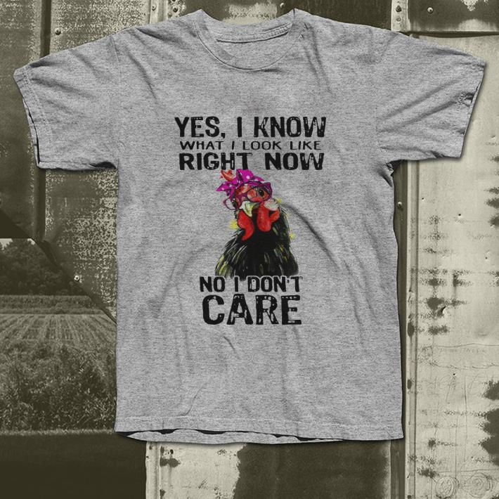 Hen yes I know what I look like right now no I don’t care shirt