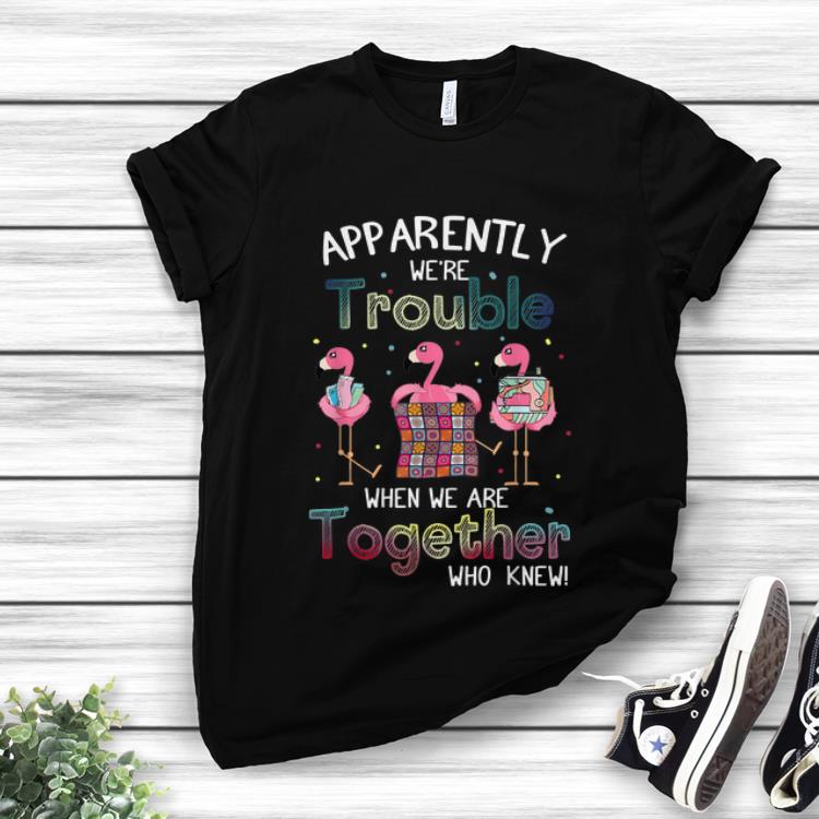 Apparently We're Trouble When We Are Together Who Knew Flamingo Textile Sewing Machine hoodie