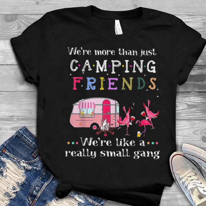 We're More Than Just Camping Friends Flamingo We're Like A Really Small Gang Youth tee