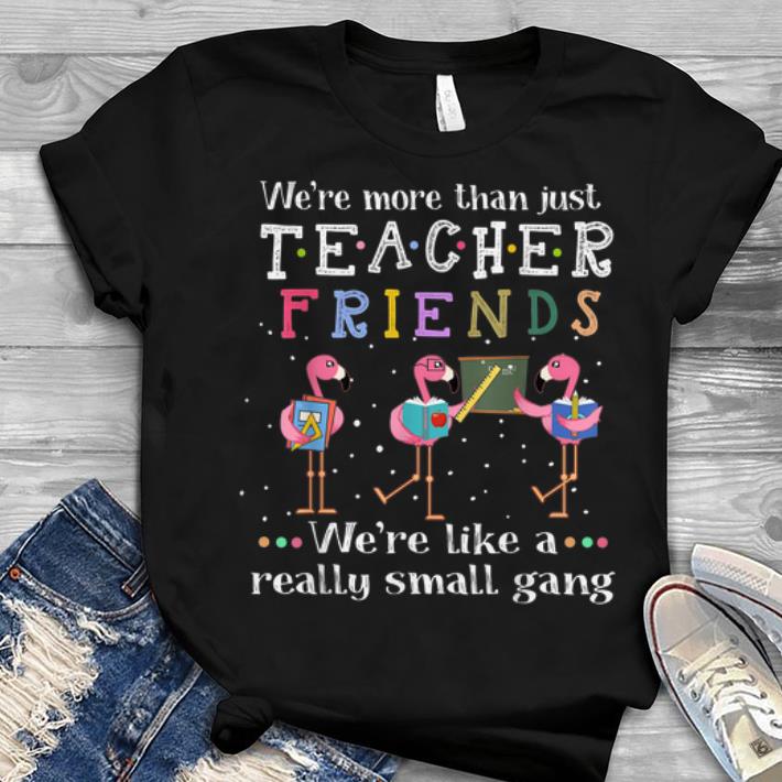 We're More than Just Teacher Friends We're Like A Really Small Gang Flamingo Youth tee