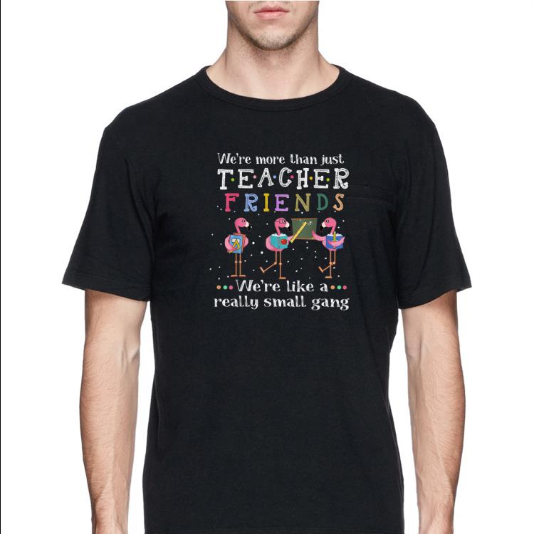 We're More than Just Teacher Friends We're Like A Really Small Gang Flamingo shirt