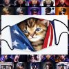 Cat and American flag face mask 7