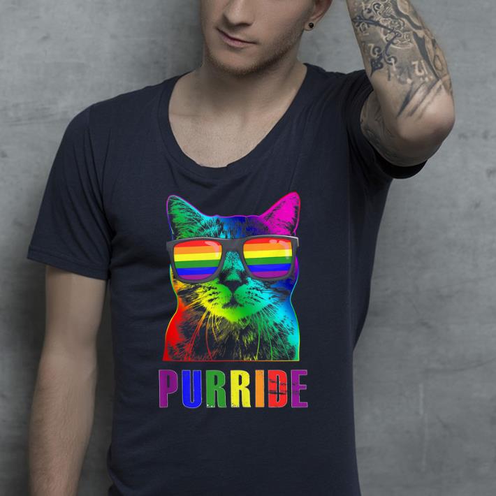 Pride Cat LBGT Flag On Glass shirt 4 - Pride Cat LBGT Flag On Glass shirt