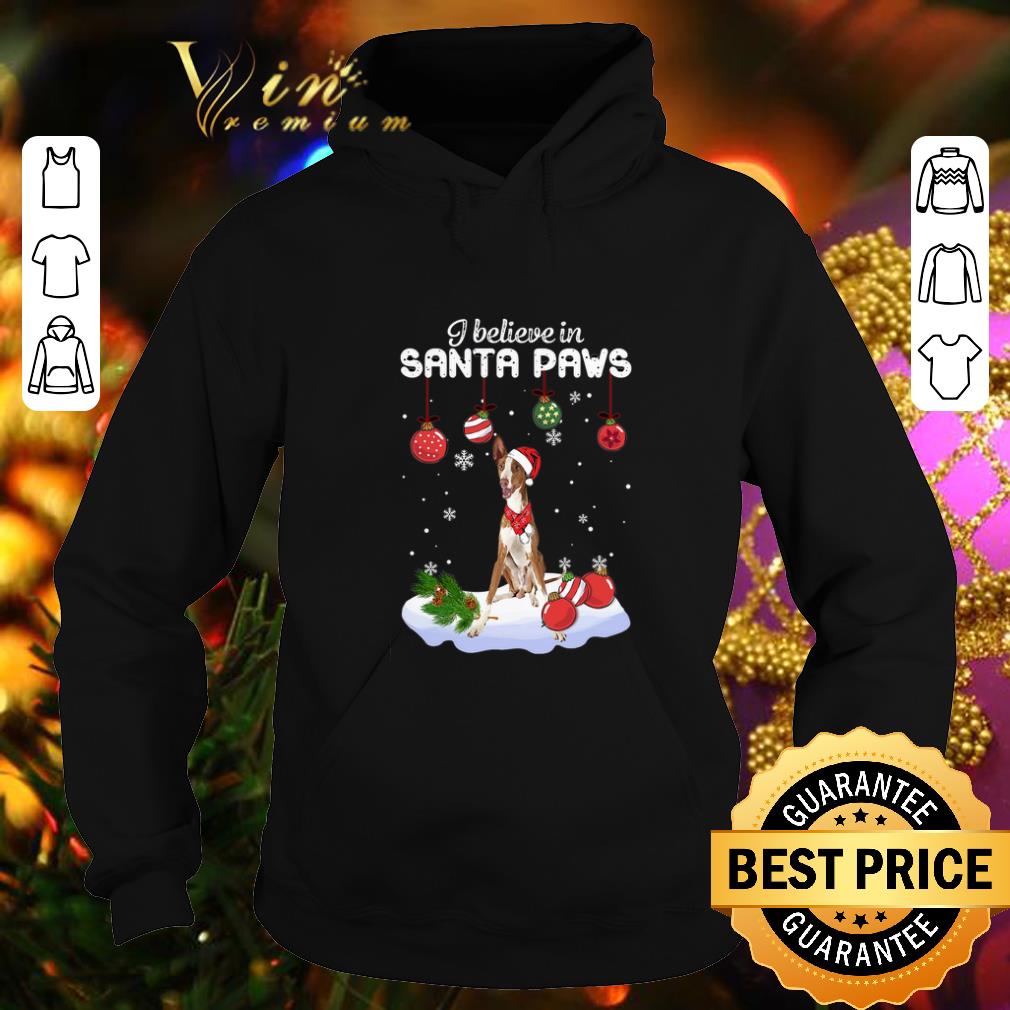 Best Ibizan Hound i believe in Santa paws Christmas shirt 4 - Best Ibizan Hound i believe in Santa paws Christmas shirt