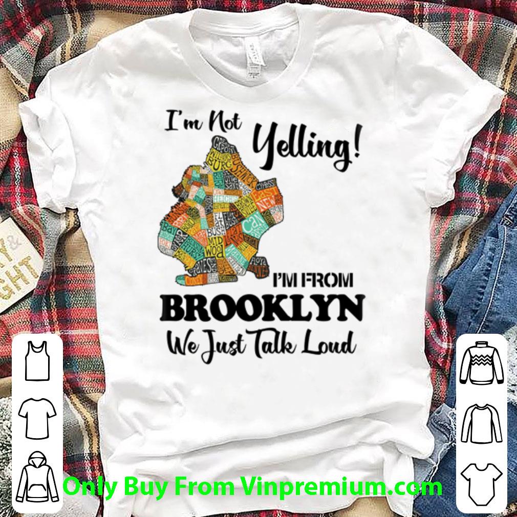 Pretty I’m Not Yelling I’m From Brooklyn Map We Just Take Loud shirt