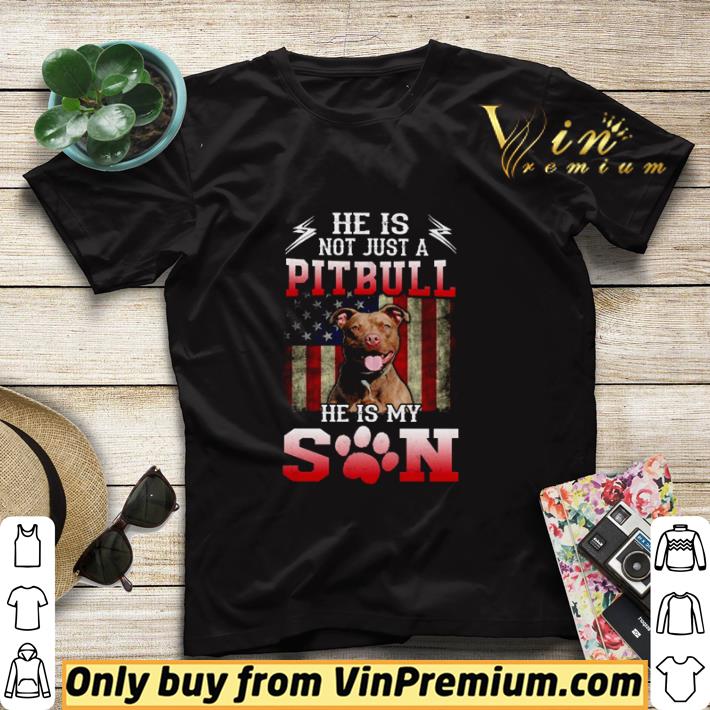 d005d0cd he is not just a pitbull he is my son american flag shirt sweater 4 - He is not just a Pitbull he is my son American flag shirt sweater