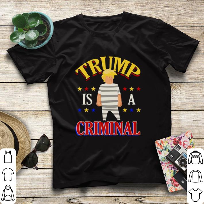 242721cf nice trump is a criminal funny political shirt sweater 4 - Nice Trump Is a Criminal Funny Political shirt sweater
