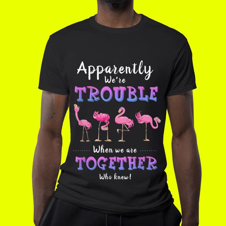 Apparently We re Trouble When We Are Together Flamingo shirt 4 - Apparently We're Trouble When We Are Together Flamingo shirt