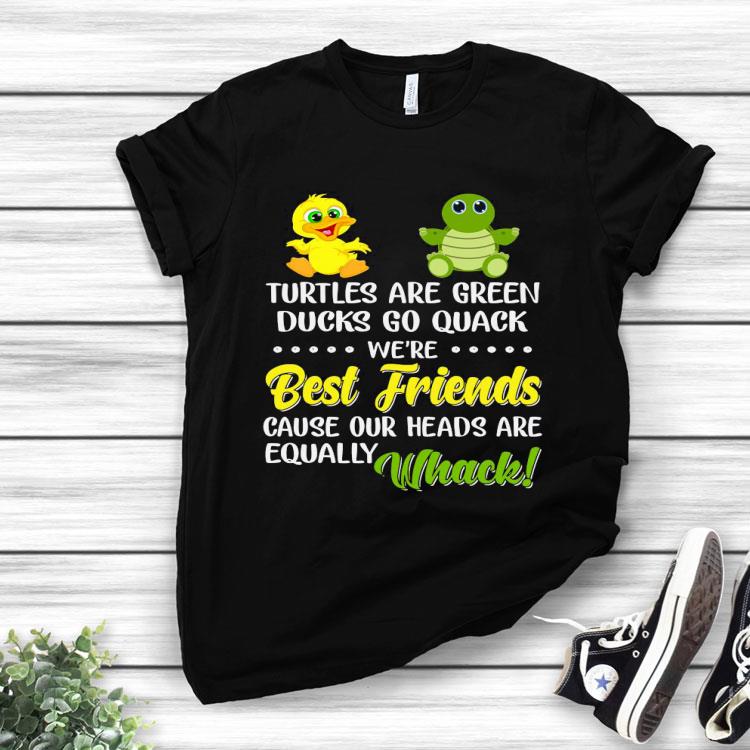 Turtles Are Green Ducks Go Quack We’re Best Friends Cause Our Heards Are Equally Whack So Cute Shirt