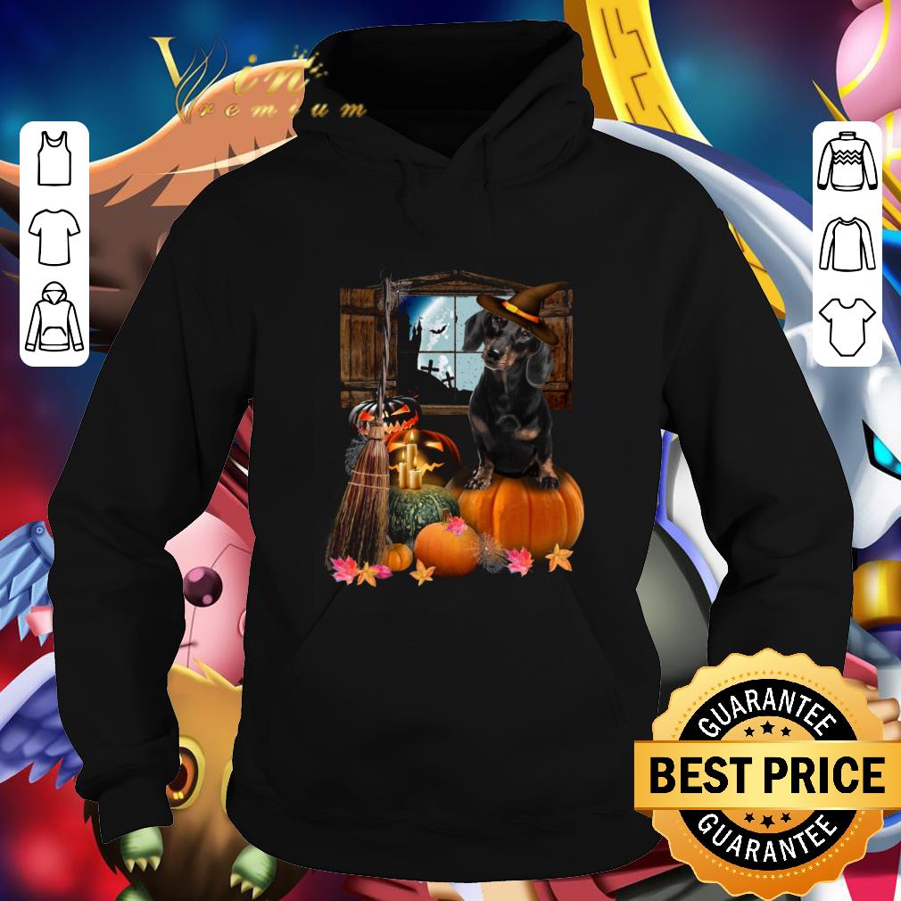 Hot Pumpkin Black Dachshund Halloween shirt 0e7b20db hot pumpkin black dachshund halloween shirt 4 - Hot Pumpkin Black Dachshund Halloween shirt