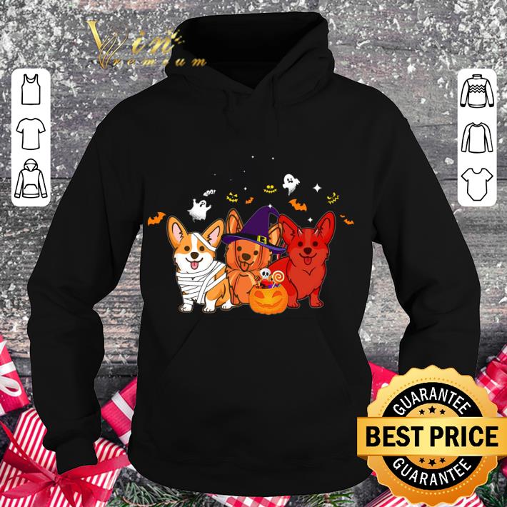 Awesome Corgi mashup Halloween Costume shirt d8a4fe95 awesome corgi mashup halloween costume shirt 4 - Awesome Corgi mashup Halloween Costume shirt