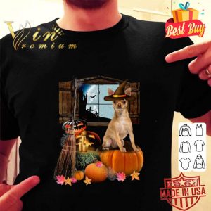 Best Pumpkin Chihuahua Halloween shirt 1