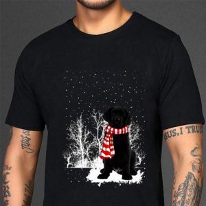 Hot Black Labrador Christmas 2020 shirt 2