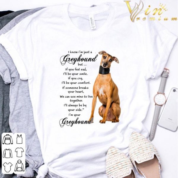 Greyhound If You Feel Sad I'll Be You Smile If You Cry I'll Be You Comfort shirt