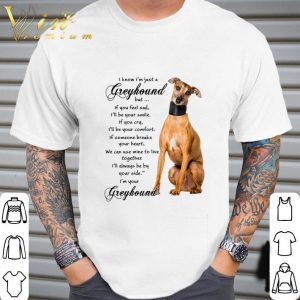 Greyhound If You Feel Sad I'll Be You Smile If You Cry I'll Be You Comfort shirt 1
