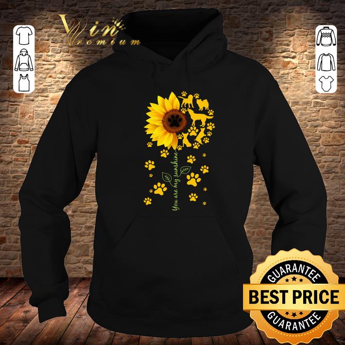 Awesome Sunflower You are my sunshine paws dogs sweater shirt Sunflower You are my sunshine paws dogs sweater shirt 4 - Awesome Sunflower You are my sunshine paws dogs sweater shirt
