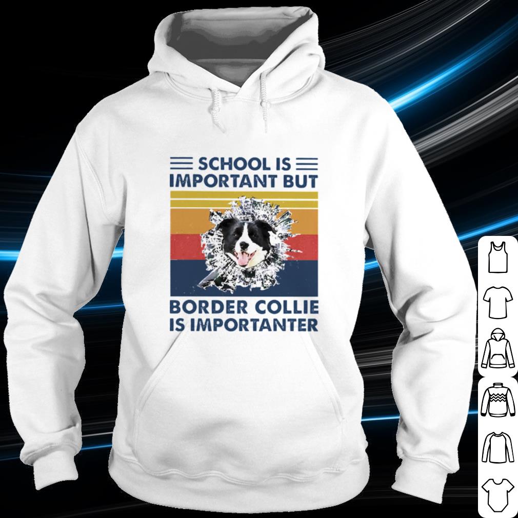 Cool School Is Important But Border Collie Is Importanter Vintage shirt