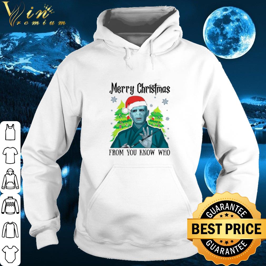 Voldemort Merry Christmas from you know who shirt